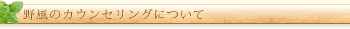 野風のカウンセリングについて